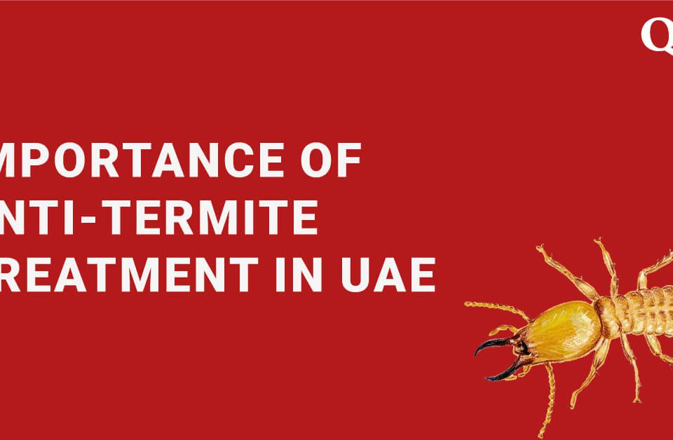 anti temite Why its important in Dubai Abu Dhabi Sharjah al ain
