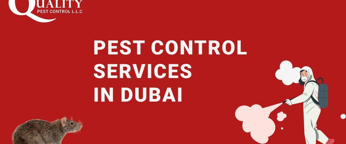 Best Pest control services in Dubai