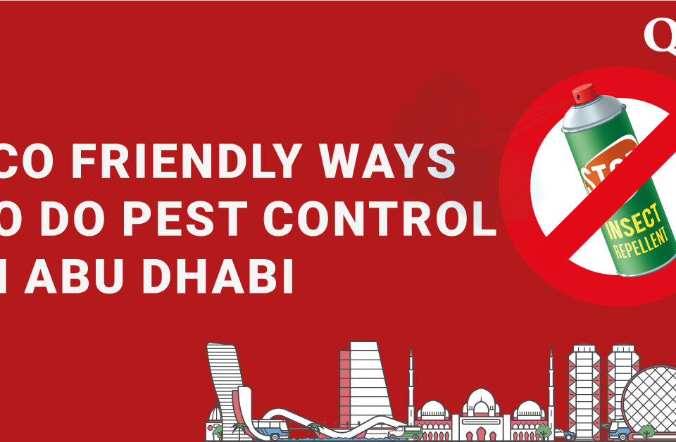 Eco friendly ways to do pest control in Abu Dhabi