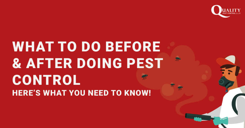 what to do before and after pest control treatment | Guide