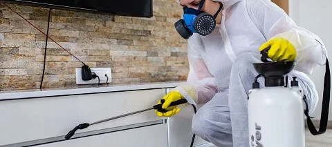 Disinfection & Sanitization